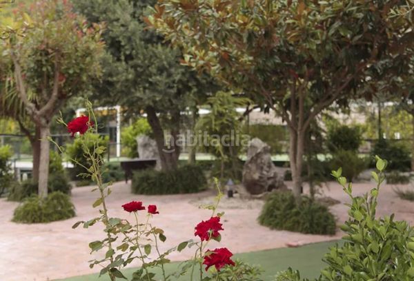 Foto 42297cfd-2e78-4324-a2a9-4772f21987d6. Edifici a Guarda (A)