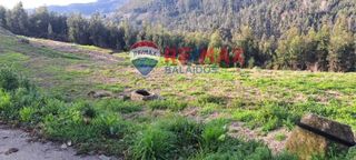 Wohngrundstück  Lugar