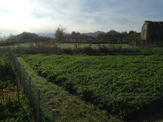 Residential Plot in Coles