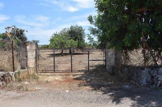 Terreny residencial  Carrer son blay. Conjunto de fincas en suelo rustico general