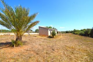 Finca rústica  Polígono de son blai. Finca rústica con caseta  en muro