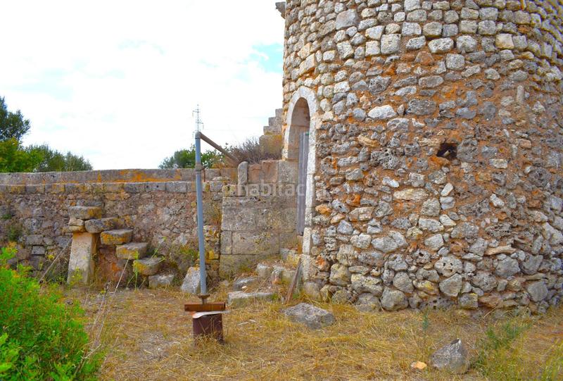 Foto 11faa66d-8968-4550-aeb8-b1af787519ae. Fondo rustico in Muro