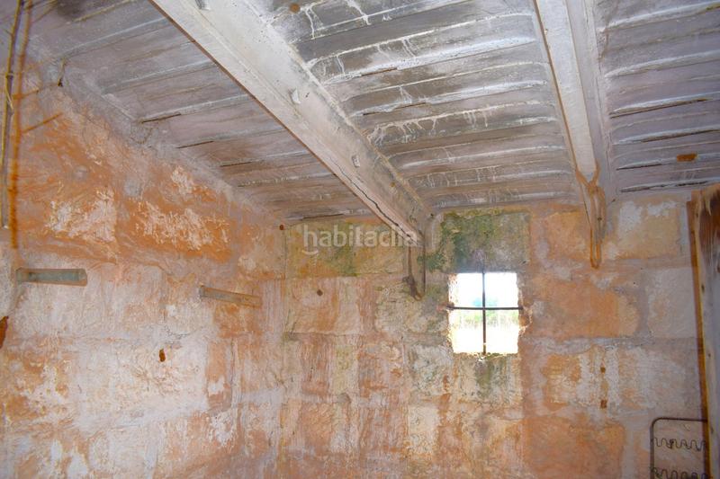 Foto 144c50fe-ec5e-4bcf-ab31-0e1a931c8722. Fondo rustico in Muro