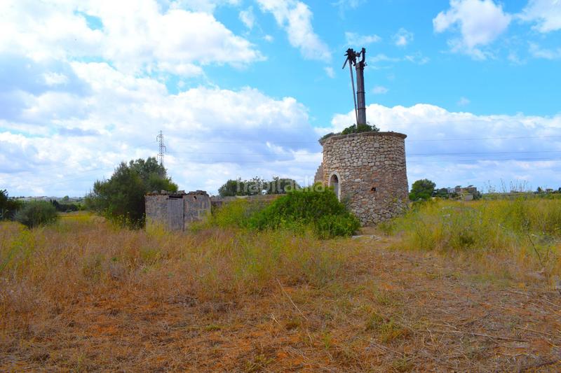 Foto 27c9d425-9b8d-495b-a42e-e0be119b3f92. Fondo rustico in Muro