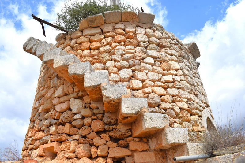 Foto 70643ee2-9c15-4869-9948-ece02765de92. Fondo rustico in Muro