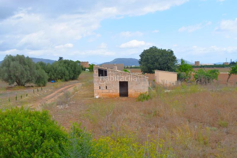 Foto 7ca7587b-d71f-460a-ab5e-17d4d7613141. Fondo rustico in Muro