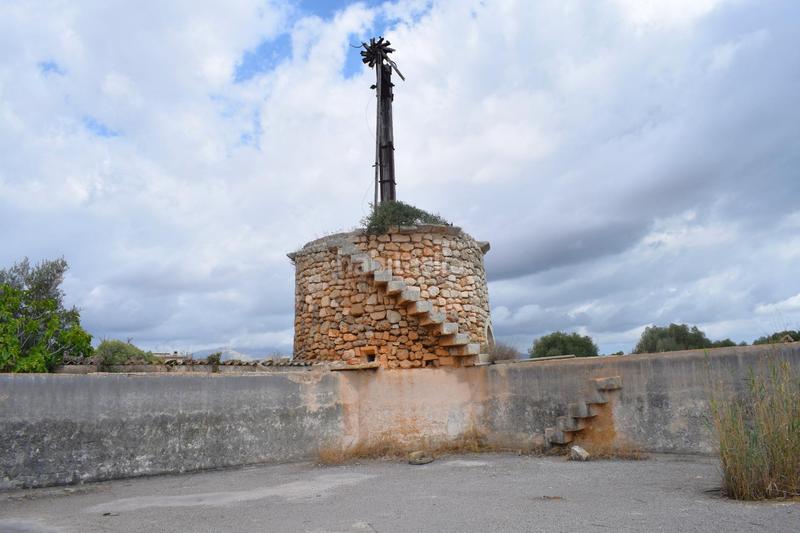 Foto 8523944b-9761-4dd2-82dd-86e603f7f9d3. Fondo rustico in Muro