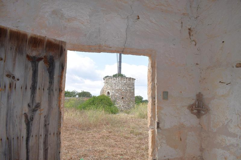 Foto 9fbffd62-9cac-4c64-b1fb-c049874c35b4. Fondo rustico in Muro