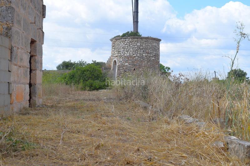 Foto adb0a5f4-3ac3-4b1f-8b86-7b60b44aeb25. Fondo rustico in Muro