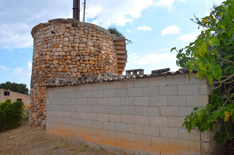 Foto c8933b53-31e4-424b-8ce9-ad427196343b. Fondo rustico in Muro