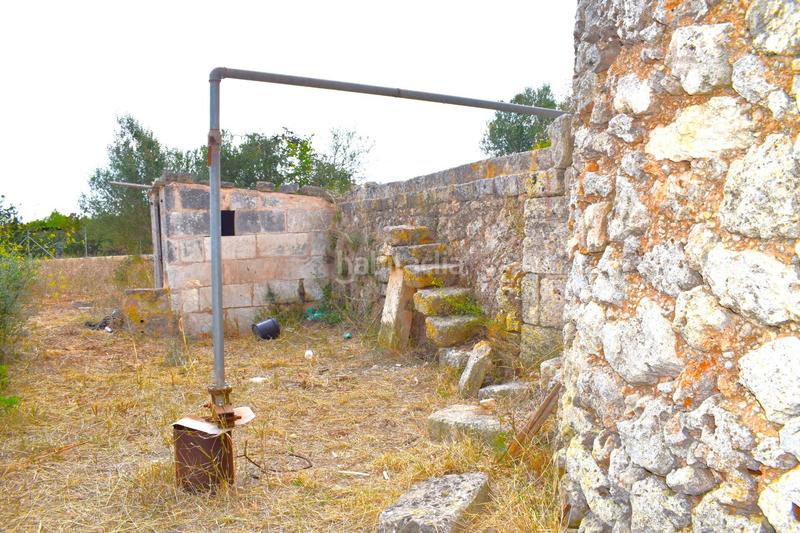 Foto d0f33440-db82-4656-a69e-a897a8aca61e. Fondo rustico in Muro