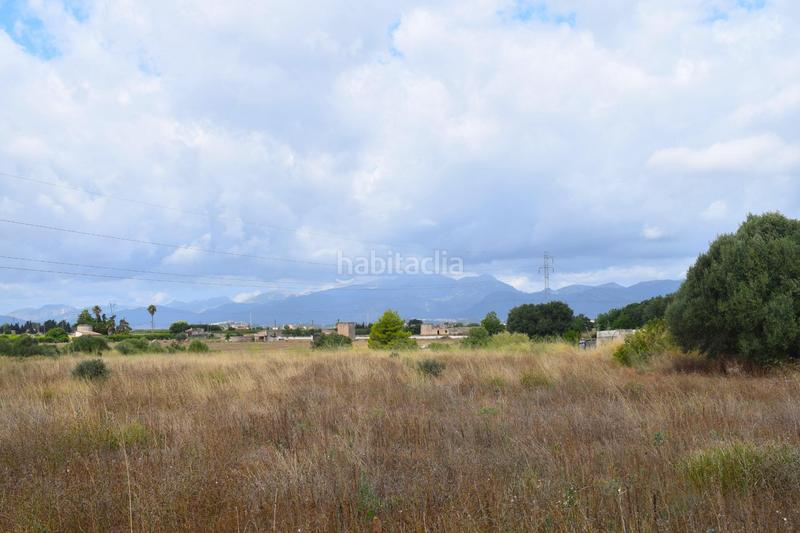 Foto db5a9d00-1312-472a-9966-4daa643ce217. Fondo rustico in Muro