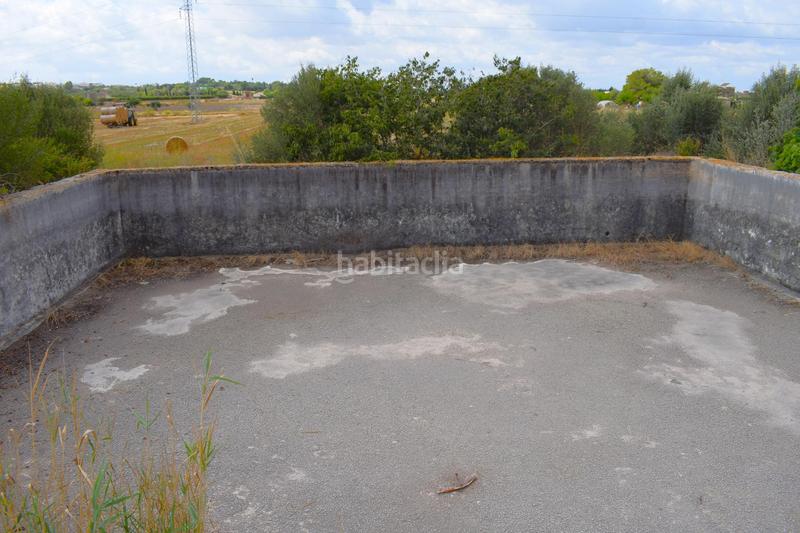 Foto e49a13e5-df7b-4616-a71d-b6dd8930560d. Fondo rustico in Muro