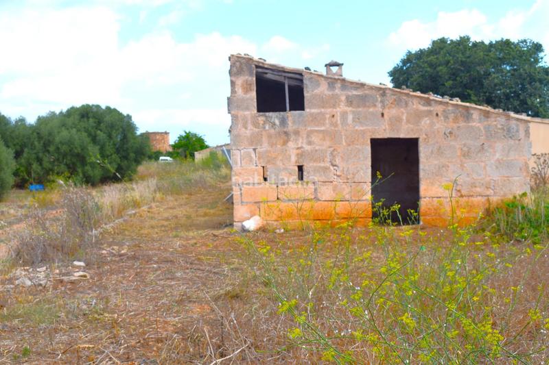 Foto ea4cc80e-1dea-4352-88b2-761e4a3d2d2c. Fondo rustico in Muro