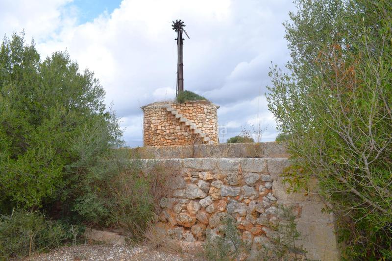 Foto eb310e5e-3f5d-4886-b1a8-5f1bdf9748a7. Fondo rustico in Muro