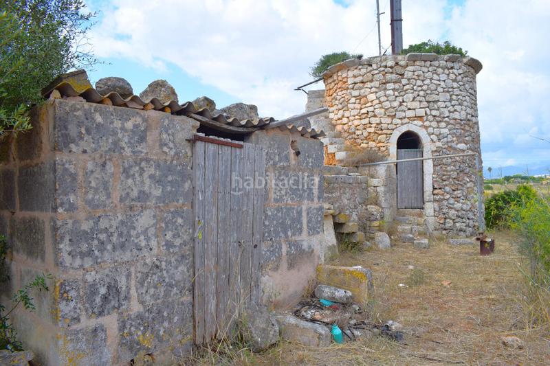 Foto f0c0eb3b-a958-4fa0-b07f-6ee2b13657fc. Fondo rustico in Muro