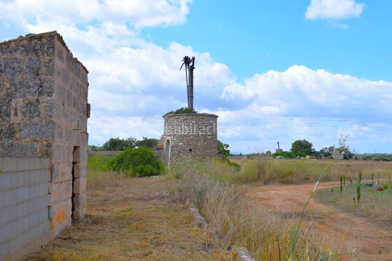 Foto f2f4461d-cd48-4258-86ea-17e3679429c0. Fondo rustico in Muro