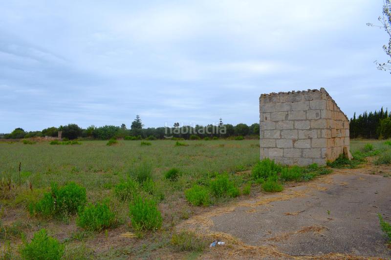 Foto 3e3d4e25-d404-4122-8a62-1f8470bcdfef. Propriété dans Muro