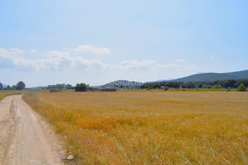 Foto 0f0a8cc7-2416-4a9f-aa41-b0787da8abba. Finca rústica a Sa Pobla