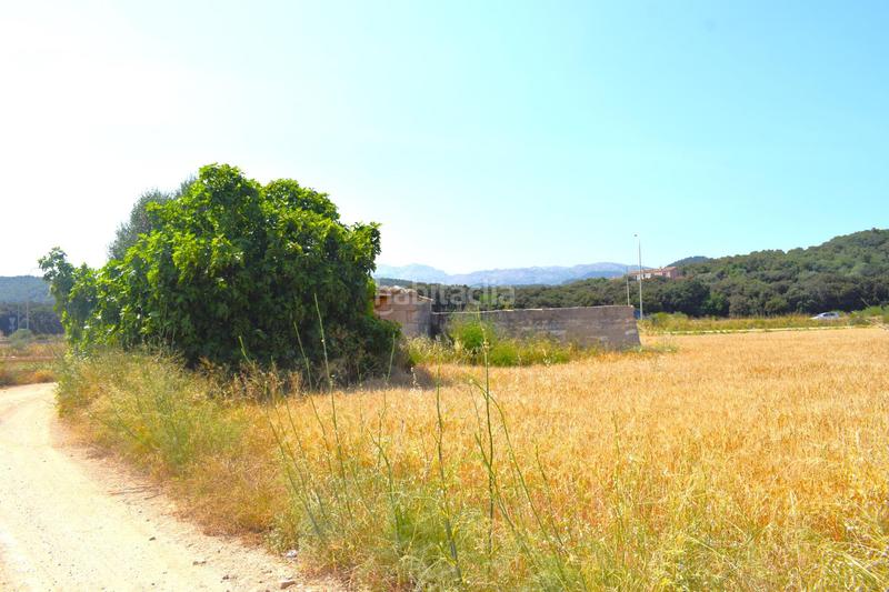 Foto 20172a61-296d-451f-b673-89d5a79ec74a. Finca rústica a Sa Pobla