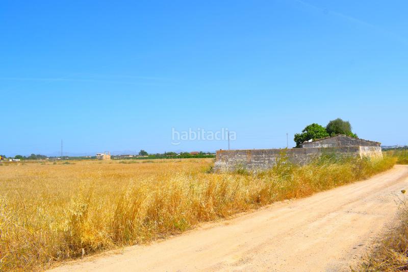 Foto 748ac7c2-c003-43ce-b966-d8568f0dba65. Finca rústica a Sa Pobla