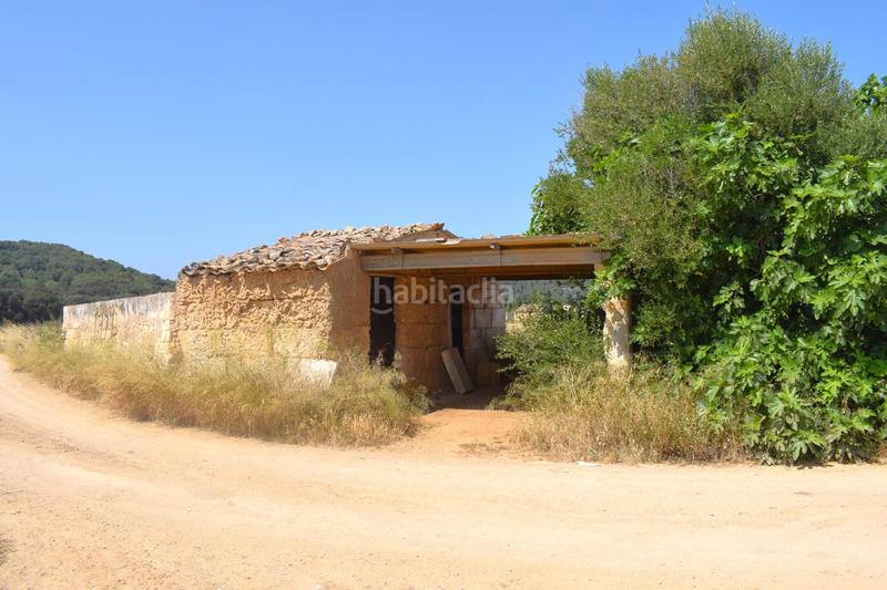 Foto b0f469c5-f6ce-4ba1-a601-4585a79f4541. Finca rústica a Sa Pobla