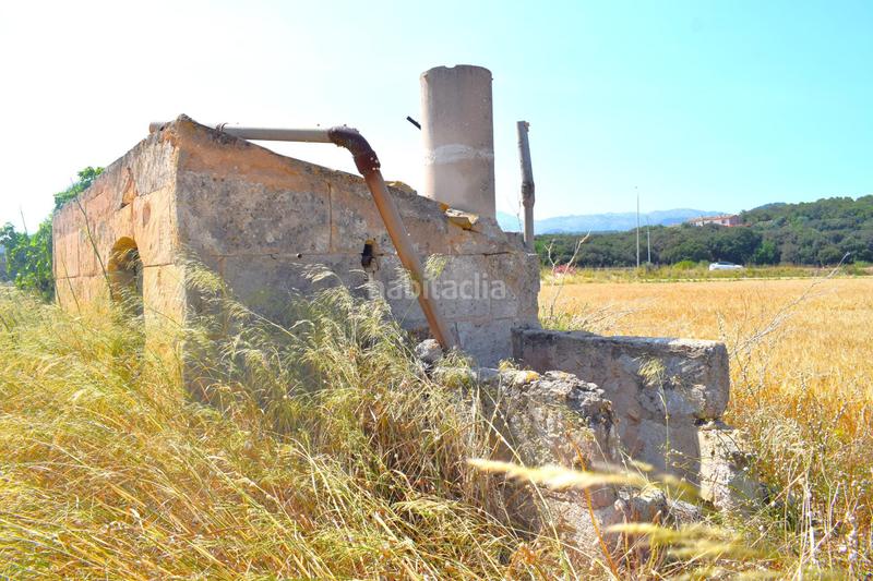 Foto d7c6f370-d8ae-4bd6-b3d9-5312405929c4. Finca rústica a Sa Pobla