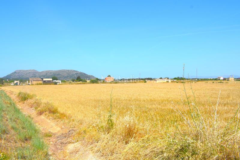 Foto f6628fe5-5e14-42ad-a415-c31c1bf24871. Finca rústica a Sa Pobla