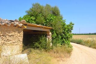 Finca rústica a Sa Pobla. Finca rústica con construcciones, pozo propio y vistas a la serr