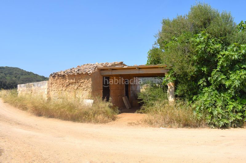 Foto b0f469c5-f6ce-4ba1-a601-4585a79f4541. Finca rústica a Sa Pobla