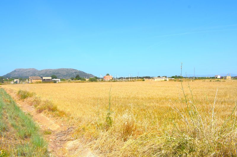 Foto f6628fe5-5e14-42ad-a415-c31c1bf24871. Finca rústica a Sa Pobla