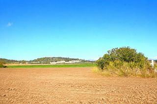 Finca rústica a Muro
