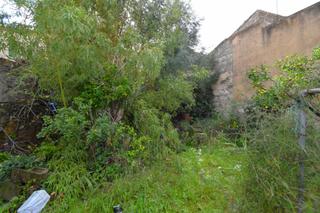 Casa  Calle santa anna. Casa de pueblo para reformar con amplio jardin en muro