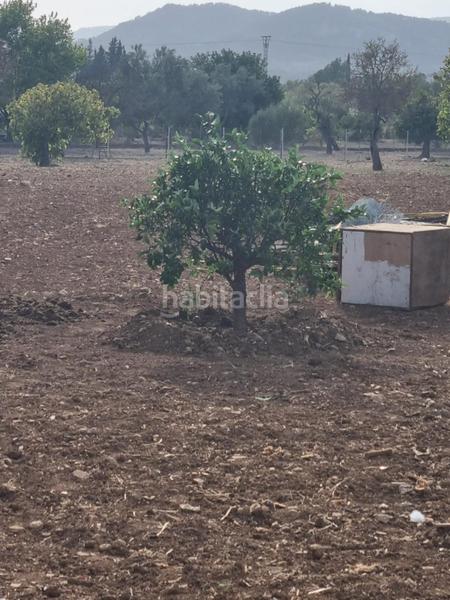 Foto 13ae40c5-6ca6-43b5-88de-6b421f4733ca. Casale in Centro Inca