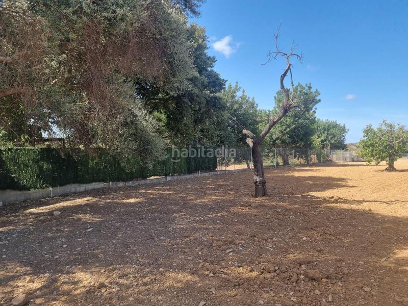 Foto 86f51a1a-3a69-487f-9719-a03247d5687e. Casale in Centro Inca