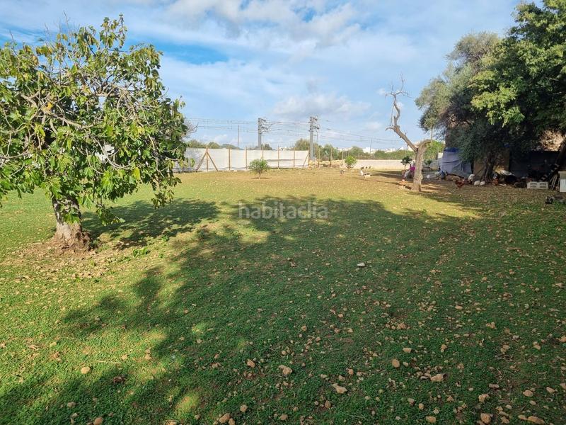 Foto d74fedad-e2dc-408c-b3e9-6939a2e7e452. Casale in Centro Inca