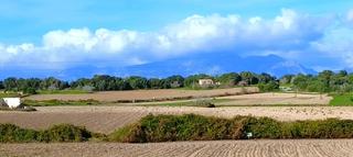 Terreno residencial en Muro. Finca rústica  con vistas a la serra de tramuntana  en muro