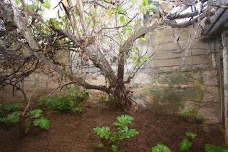Casa en Muro. Casa de pueblo con jardin en muro