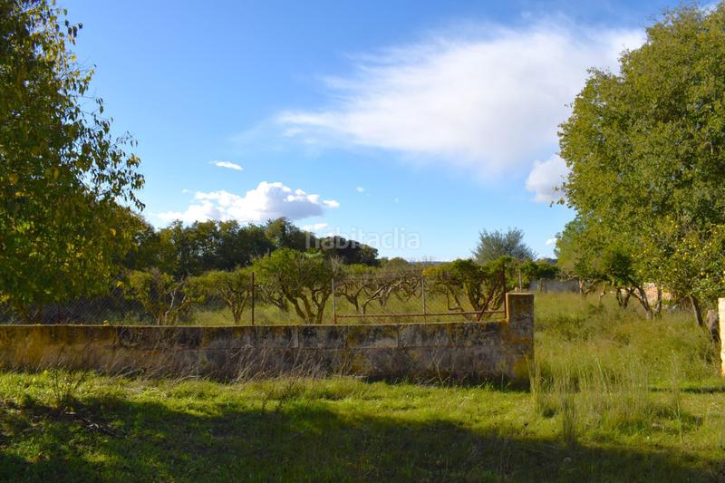 Foto 0b17a958-cc83-4e9f-9a4f-2a0a7e06a9f0. Terrain résidentiel dans Llubí