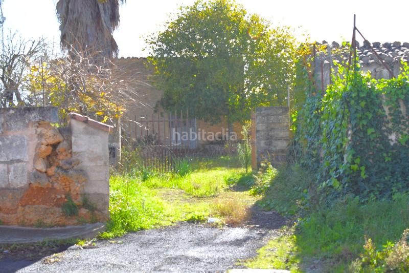 Foto 0eb872da-8210-42f3-a405-470803e4467a. Terrain résidentiel dans Llubí