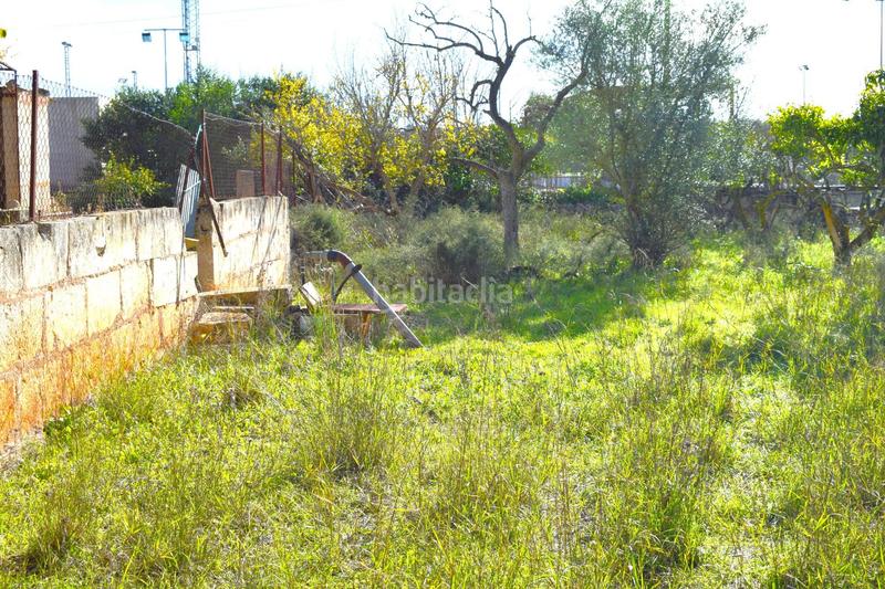 Foto 258a09c0-a9fb-4042-b428-8440c2e9aab8. Terrain résidentiel dans Llubí