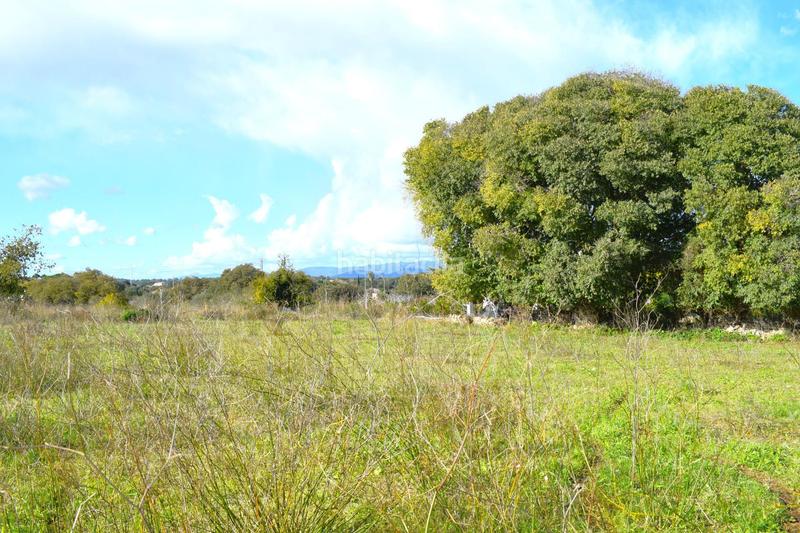 Foto 26585260-5422-400f-af91-0bd2bf243750. Terrain résidentiel dans Llubí