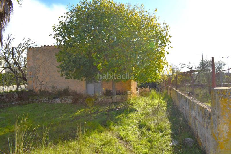 Foto 41bb6bb8-5c12-45b6-a4e9-df25dcc15010. Terrain résidentiel dans Llubí