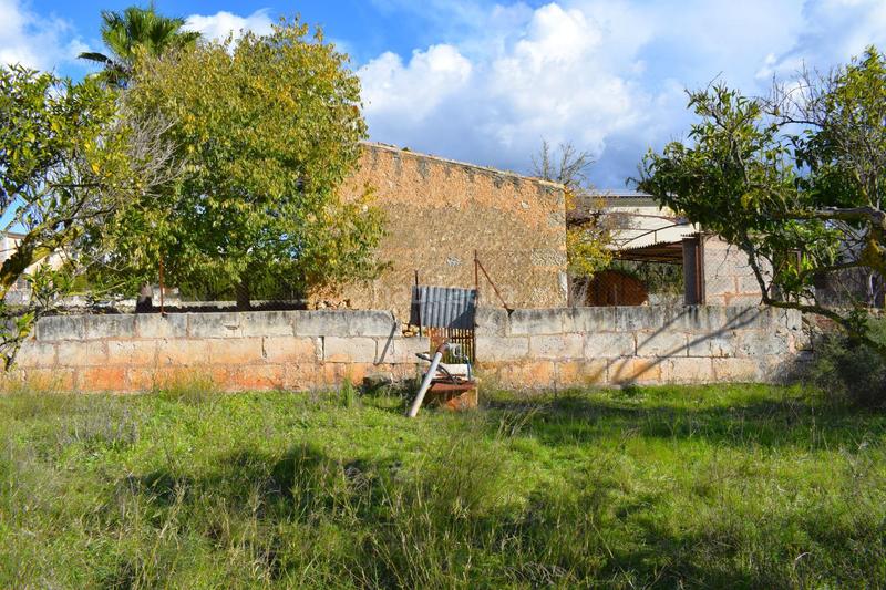 Foto 51daf246-fade-4c63-ab9d-beebf5179259. Terrain résidentiel dans Llubí