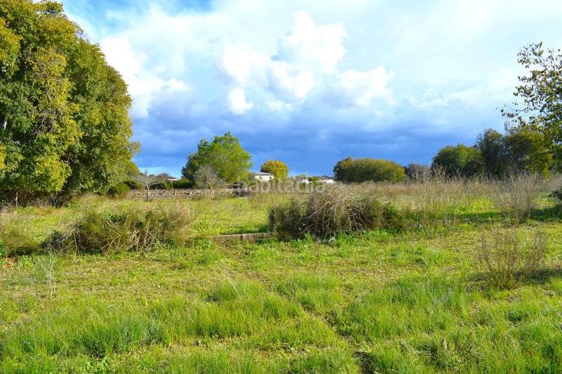 Foto 5be99852-45b1-4902-a052-93f30ea7bbcd. Terrain résidentiel dans Llubí