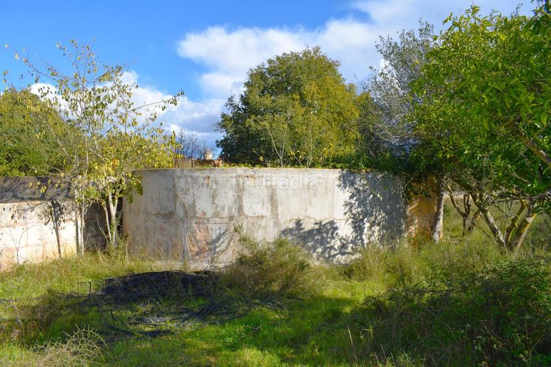 Foto 90e3e375-429a-47c8-ab5d-bf1c0dae194b. Terrain résidentiel dans Llubí