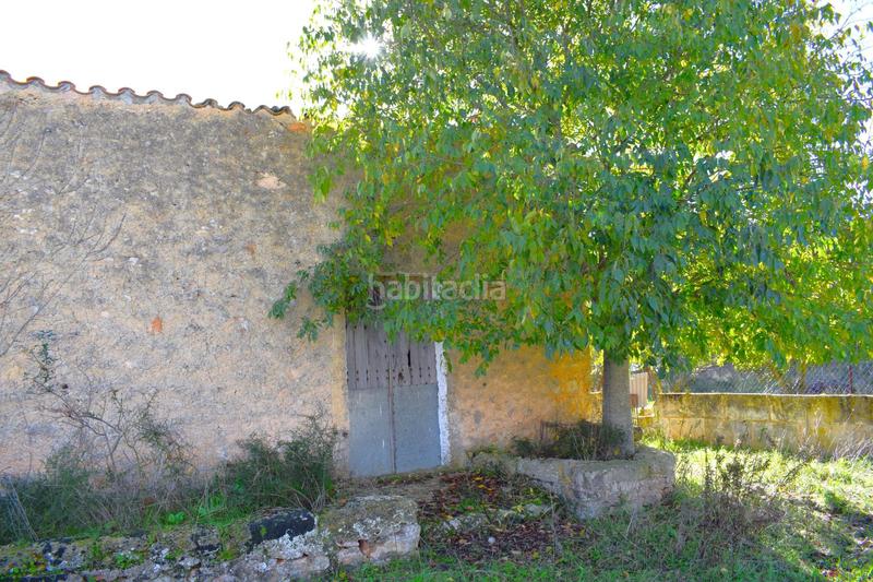 Foto 9487c254-88eb-4b22-8659-693bee37d790. Terrain résidentiel dans Llubí