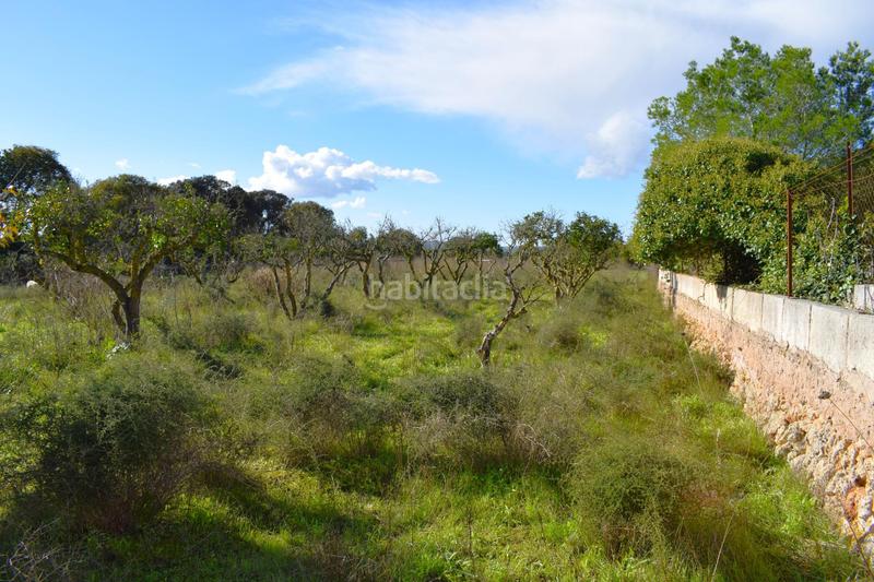 Foto 9b095f9f-d090-4f2b-b8bf-23947b726fb1. Terrain résidentiel dans Llubí
