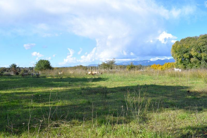 Foto 9c448109-634c-4c27-88c7-ea4eb7d5ca0e. Terrain résidentiel dans Llubí