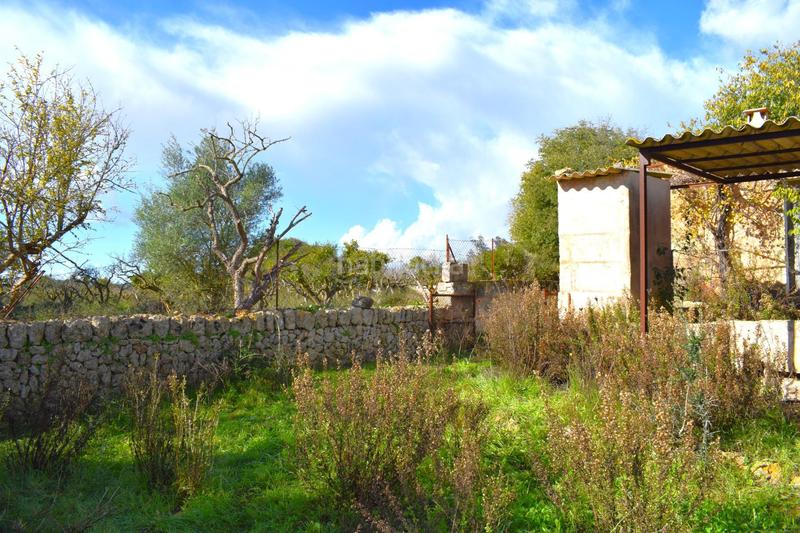 Foto 9ce8d36f-f055-42f9-bc99-16dc5c8a4bae. Terrain résidentiel dans Llubí